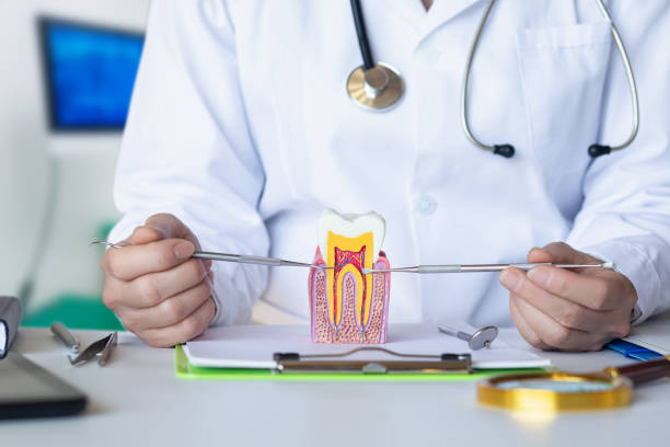 Best Emergency Dental Services for Seniors in Lindale, TX